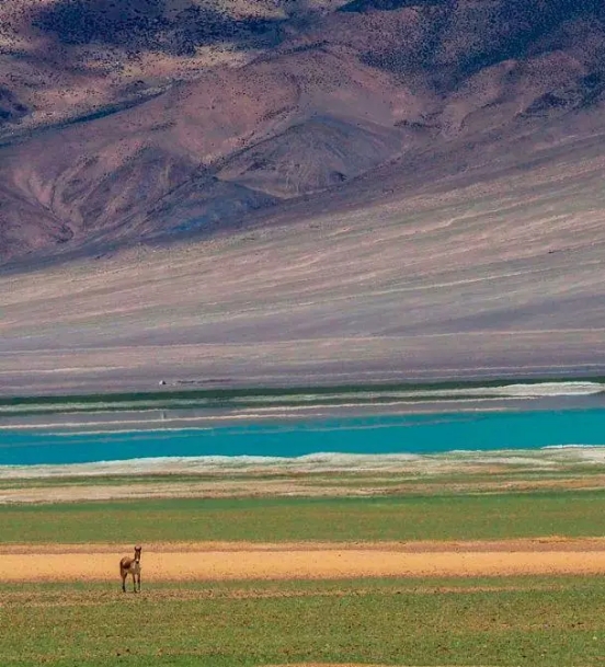 西藏阿里最极致的美在哪里,极致中的极致是什么