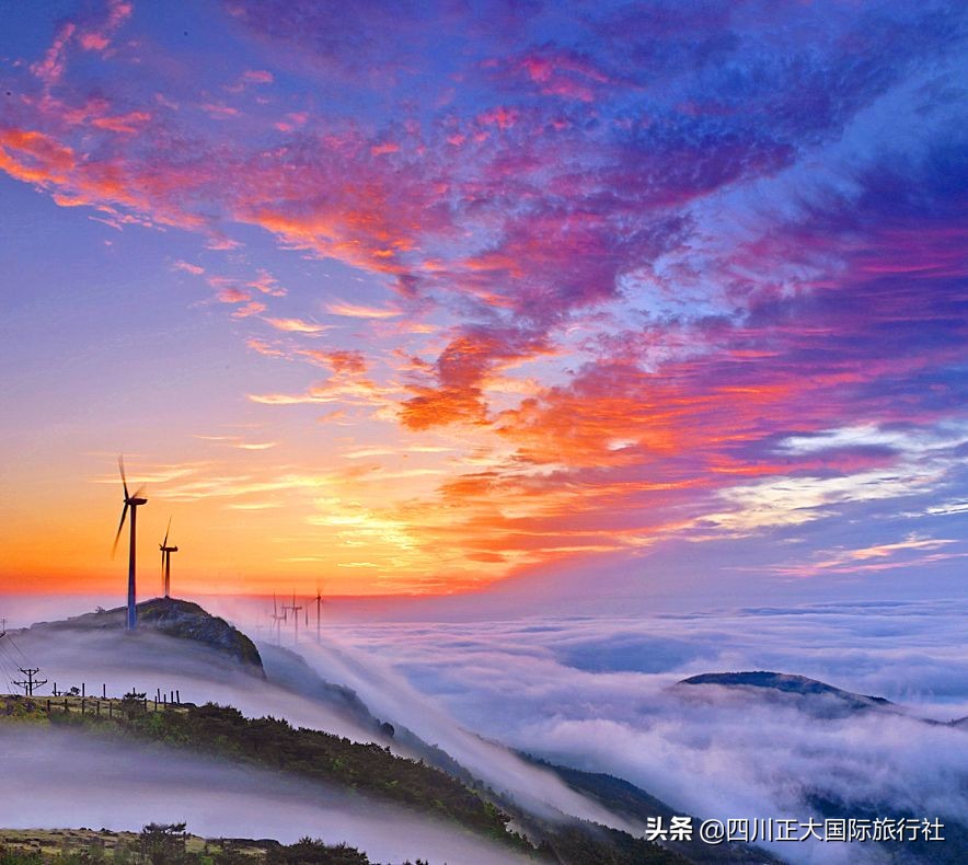浙江十大海边露营地排名,10大星空露营地