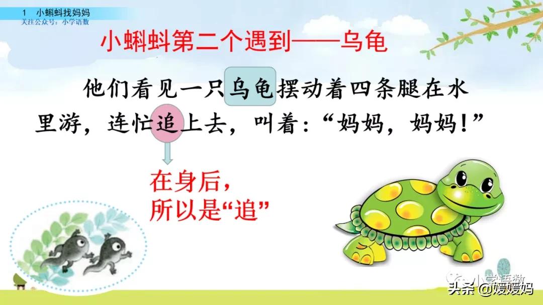 二年级上册小蝌蚪找妈妈听写词语,朗读二年级上册语文小蝌蚪找妈妈