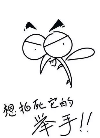 温州蚊子怎么这么多,蚊子警报