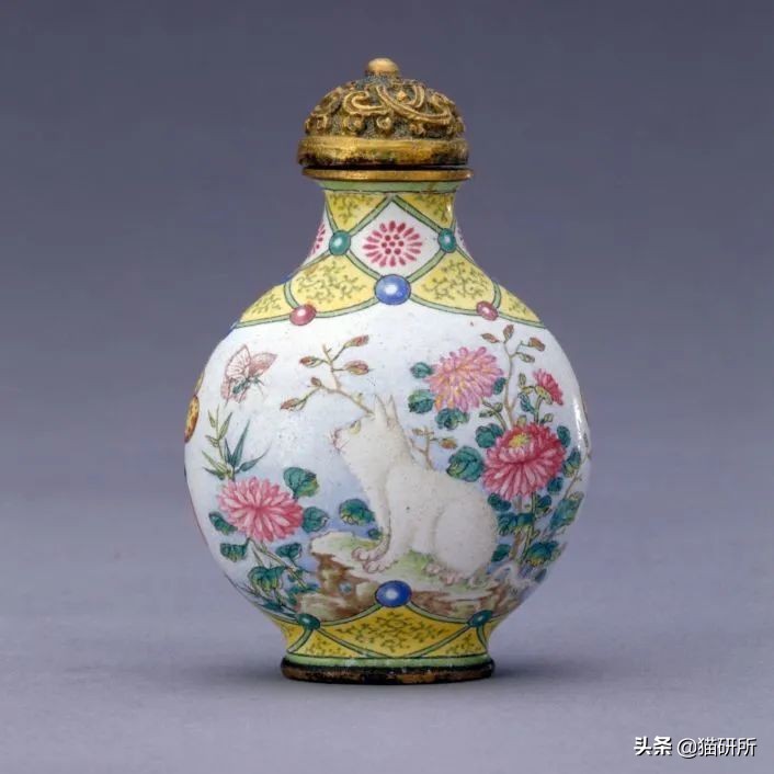 古代人如何称呼不同毛色的猫咪？