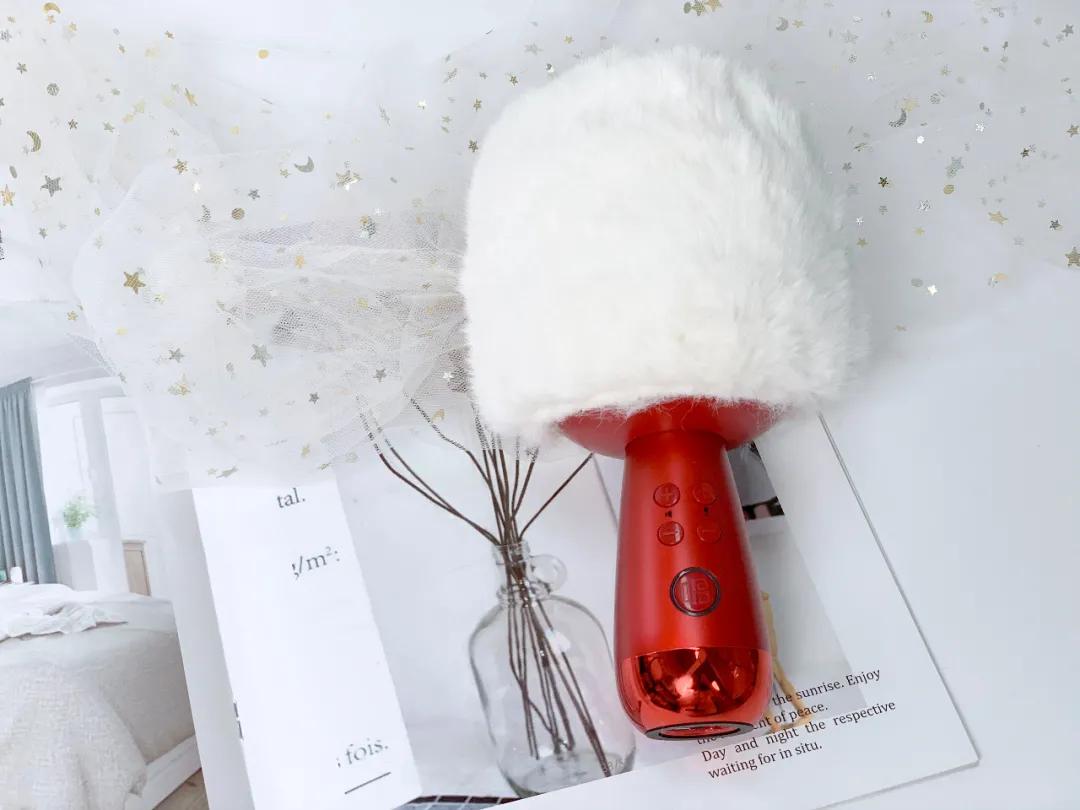 唱吧麦克风向往的生活,向往的生活同款唱吧麦克风