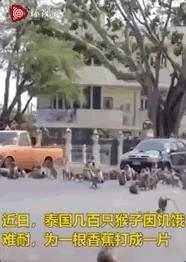 疫情之下未来之路,疫情之下是创业还是打工