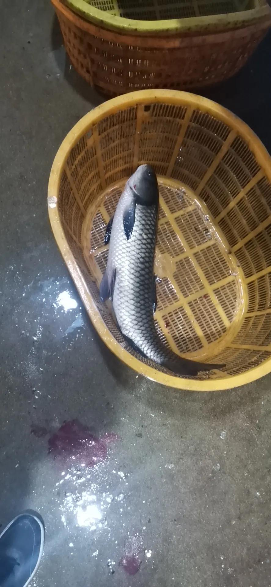 罗源滨海新城目前人口,罗源滨海新城多少亩地