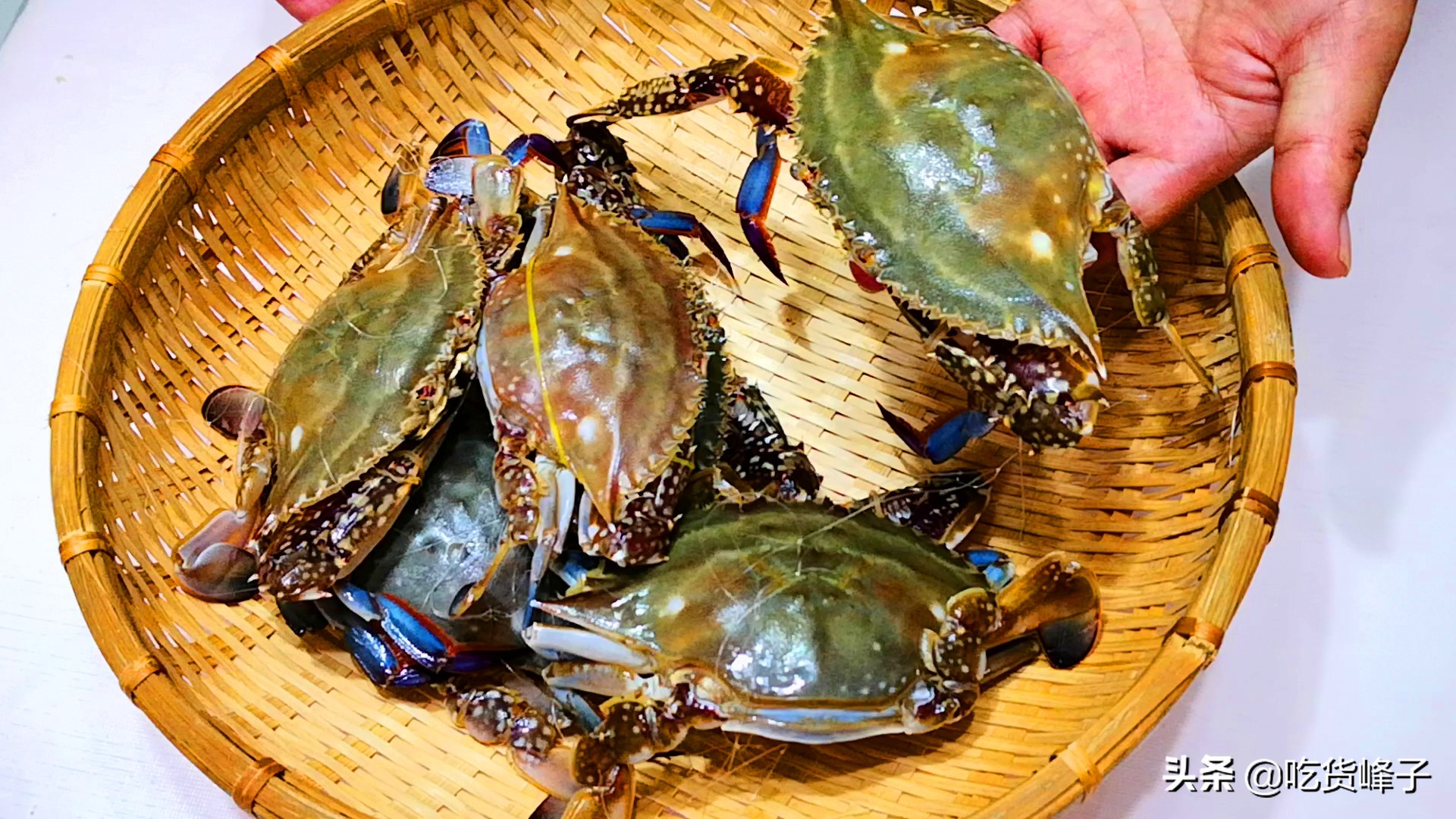 蒸螃蟹教你一招不掉腿不流蟹黄,蒸螃蟹的方法图解窍门