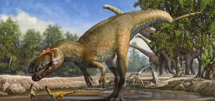 纸箱恐龙教程完整版一年级学生版,用纸箱做恐龙的做法视频大全