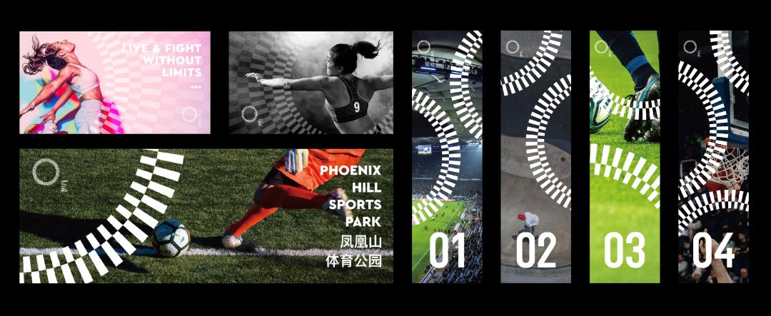 成都凤凰山体育公园设计讲解,凤凰山体育馆logo设计