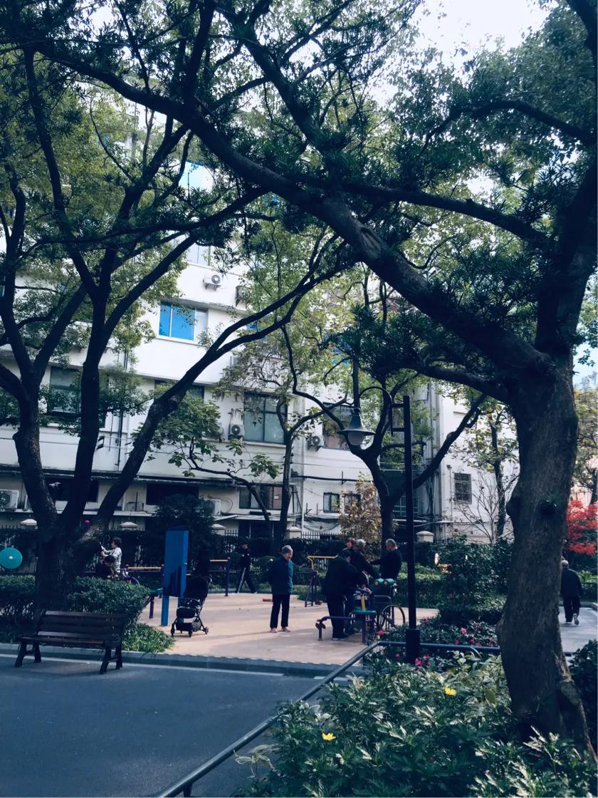 上海西康公园下象棋,上海西康公园地址
