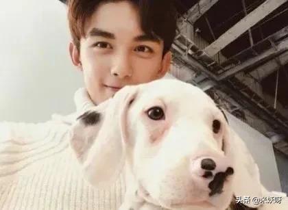 成熟稳重的男孩和成熟稳重的女孩,女汉子和小奶狗的爱情