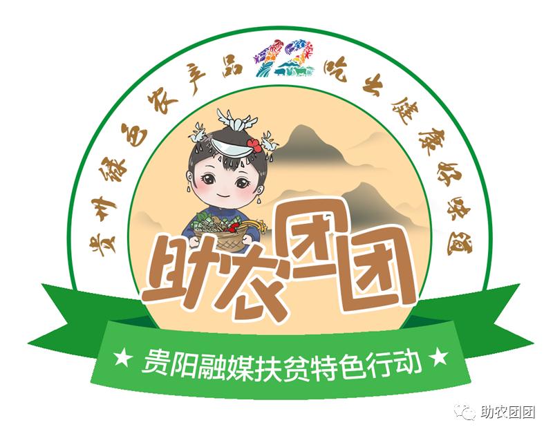 贵州助农团团最新视频,助农团团直播带货