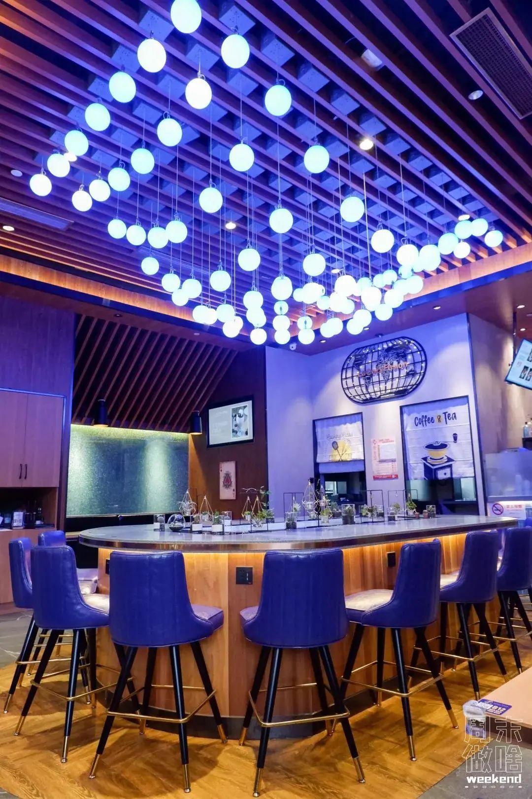 上海新开餐厅名单,上海好吃环境又优雅的餐厅推荐