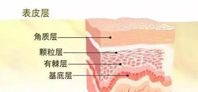 皮肤突然出现一点红血丝怎么回事,皮肤泛红有红血丝的原因