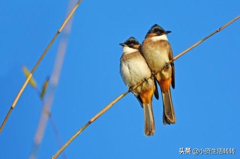 夫妻两地分居危害,两地分居距离标准