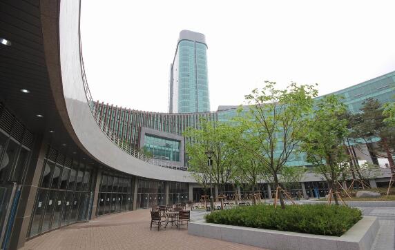 大邱加图立大学专业排名,韩国大邱加图立学校怎么样