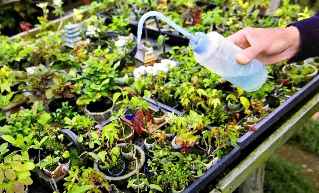 施肥手法,施肥技术和方法