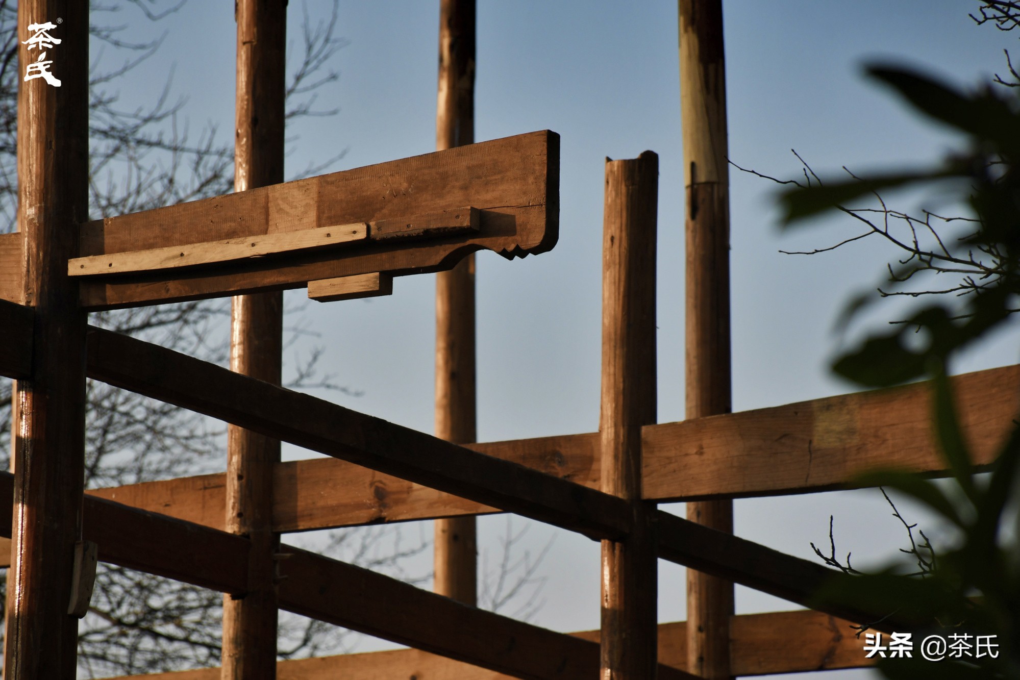山居生活借山而居,徐州观心山居