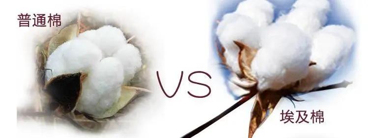 谢谢*疆新**棉，让我看清了“进口纺织品”的智商税