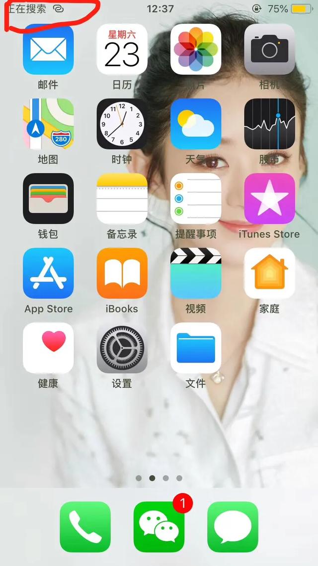 二手苹果手机各机型优缺点,二手苹果的各种类型