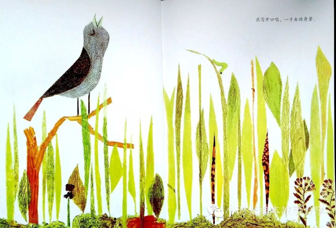 3-6岁必看十本绘本阅读游戏排行榜,超强阅读干货