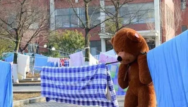 盘点大学生晒被子的搞笑瞬间,大学生花式集体晒被子