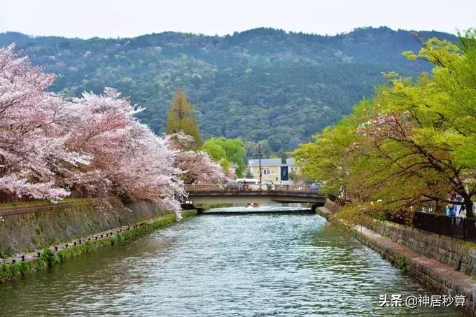 日本京都房价多少钱一平米,日本京都房价多少钱一平