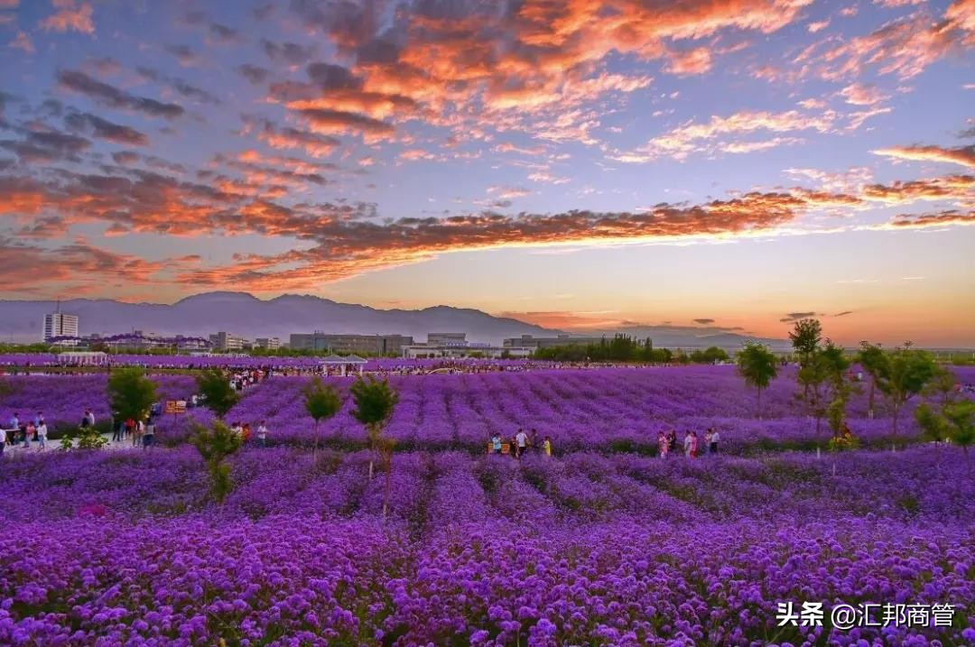 城运巨变，为什么是金昌？