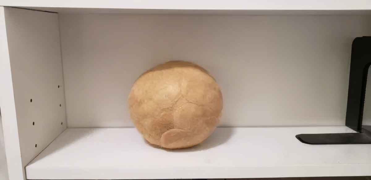 在路上捡回来的流浪猫给它洗澡,救助的流浪猫生病自己无能为力