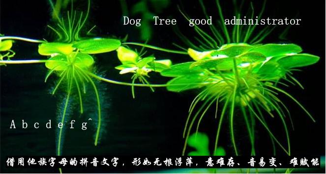 春秋战国魏晋南北朝五代十国历史,春秋战国汉魏晋南北朝