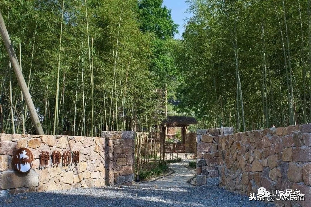 在40万人饮用水的水源地，住青春旅社百里挑一的惬意民宿