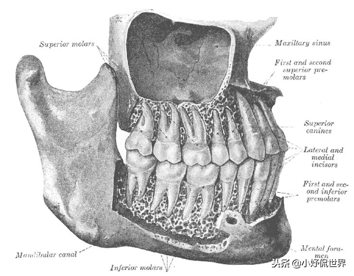教科书照片与现实照片,教科书图片里的人