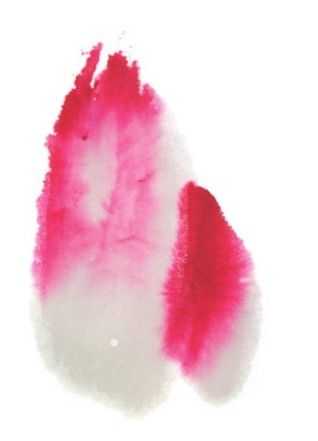 国画刘存惠荷花画法全视频,国画山水画教学视频荷花画法