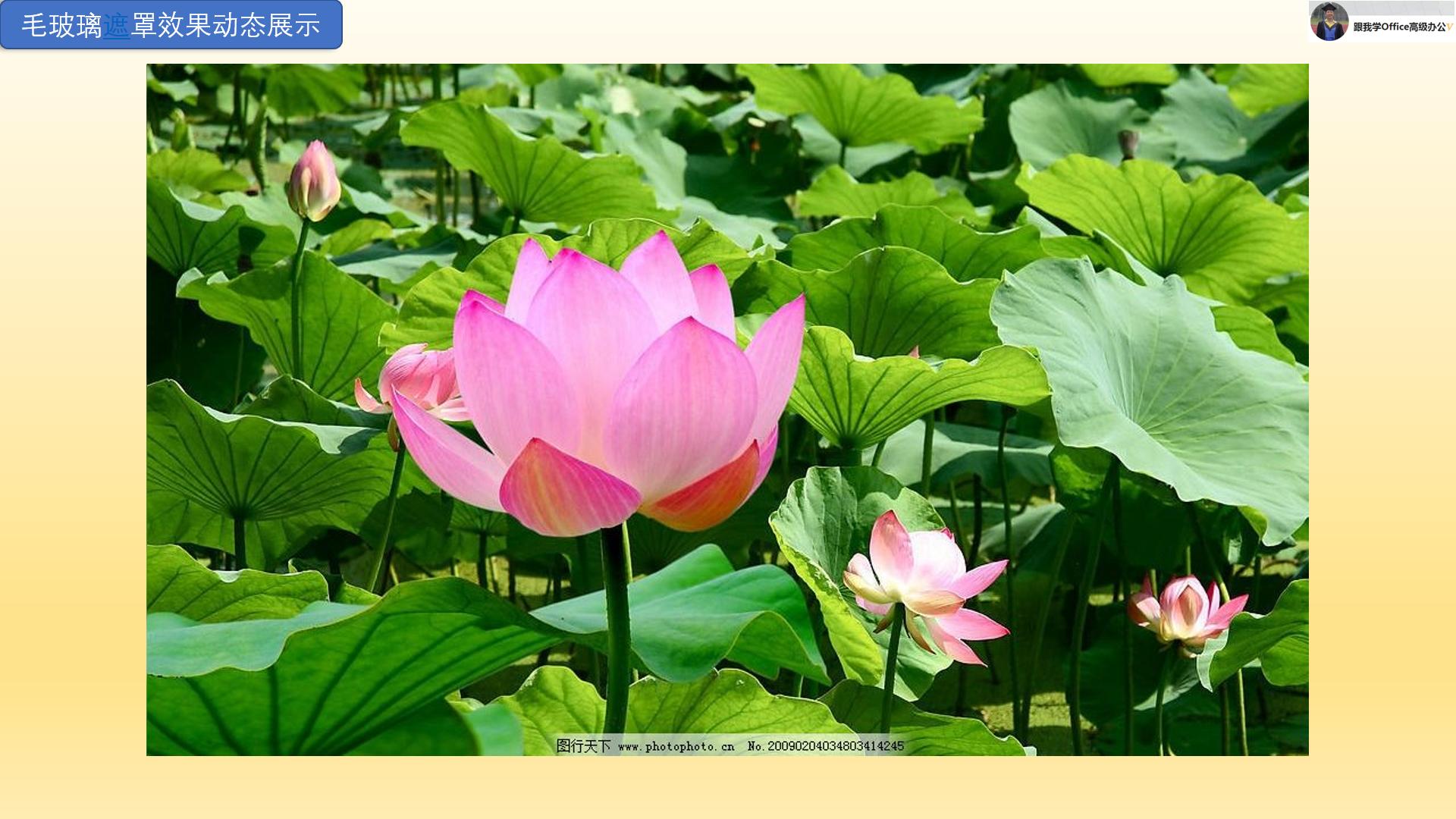 ppt如何做透明毛玻璃效果,ppt图片如何做遮罩效果