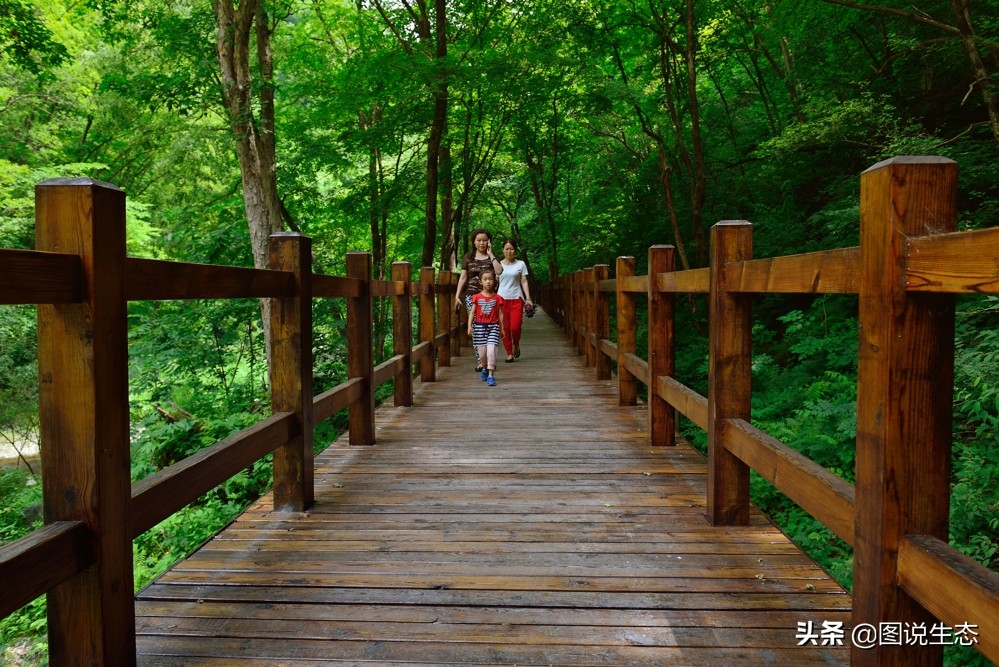 农村大山发现一尊山体大佛,本溪大峡谷天然石佛