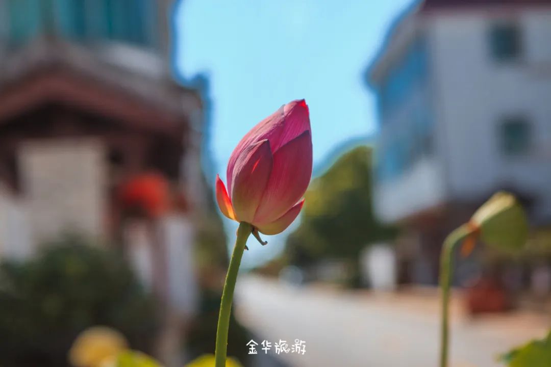 金华玩水的地方网红地,金华周边避暑玩水好去处