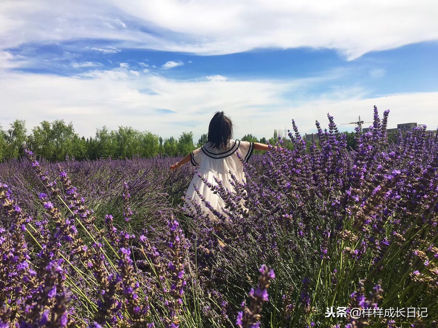一家三口新疆伊犁旅游,自驾游霍尔果斯路线攻略