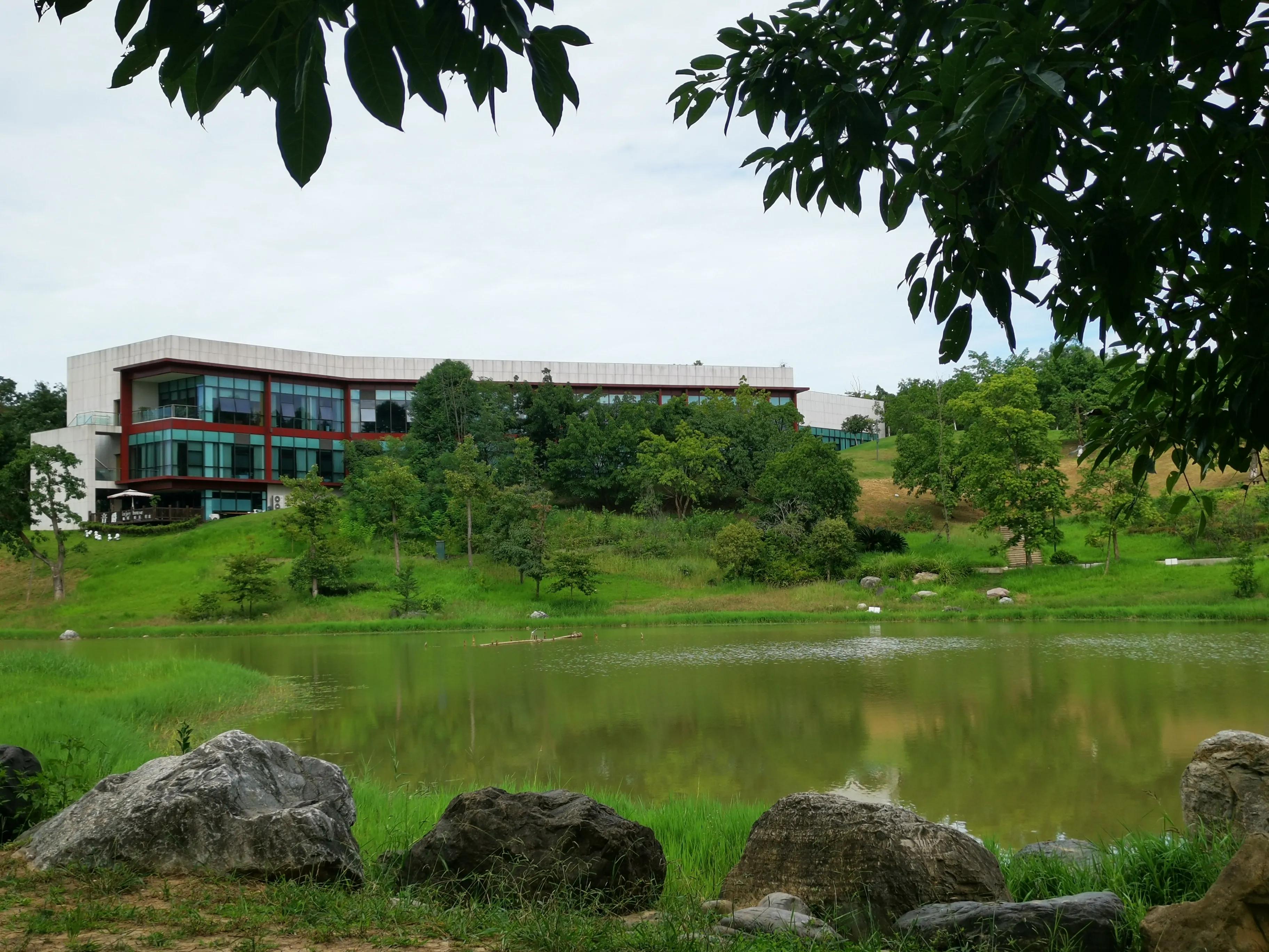 老成都的回忆完整版,老成都的记忆电烤肉串