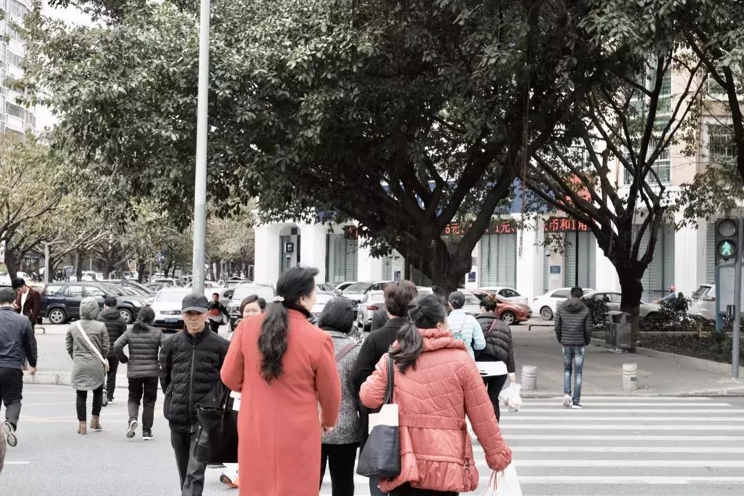 龙岗中心城壹号仓,光明和龙岗中心城