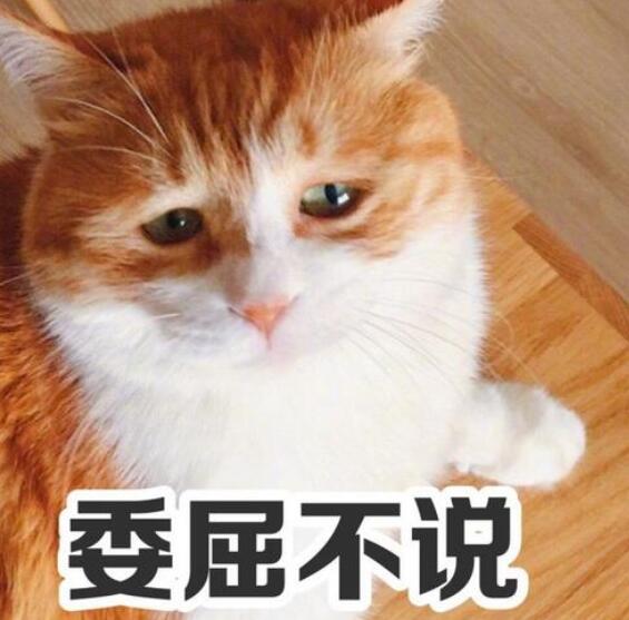 过年最容易被误解的专业,学的专业被误解