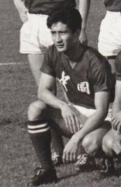 南派足球往事,南派足球往事之粤足