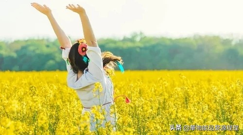 江西婺源油菜花音乐节,婺源油菜花文化节