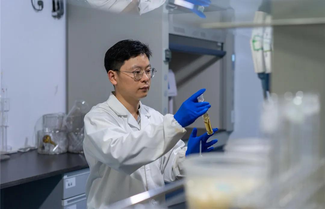 波澜壮阔的美景,波澜壮阔的壮丽篇章