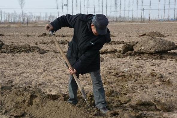 什么是发酵彻底粪肥,粪肥发酵时间过长对肥力有影响吗