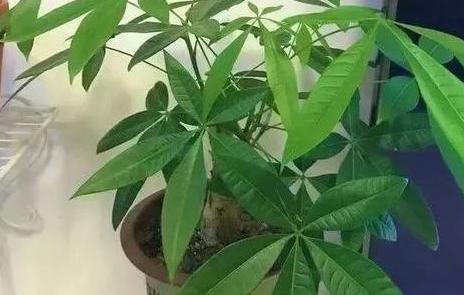 家里的药都过期了该如何处理,家中七种过期药品不要扔