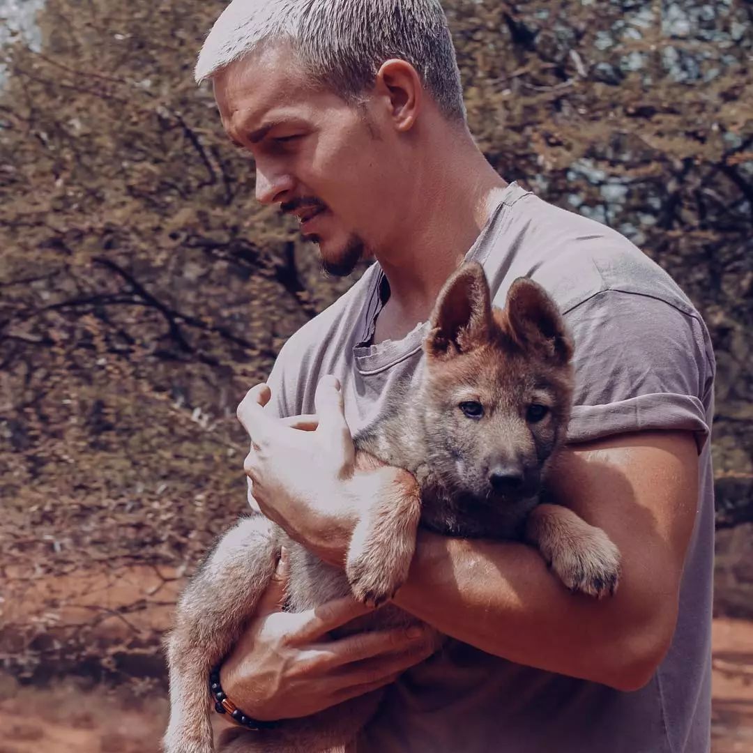 放弃百万年薪，去非洲撸猫？长腿版小李子引63w人舔屏：看我看我