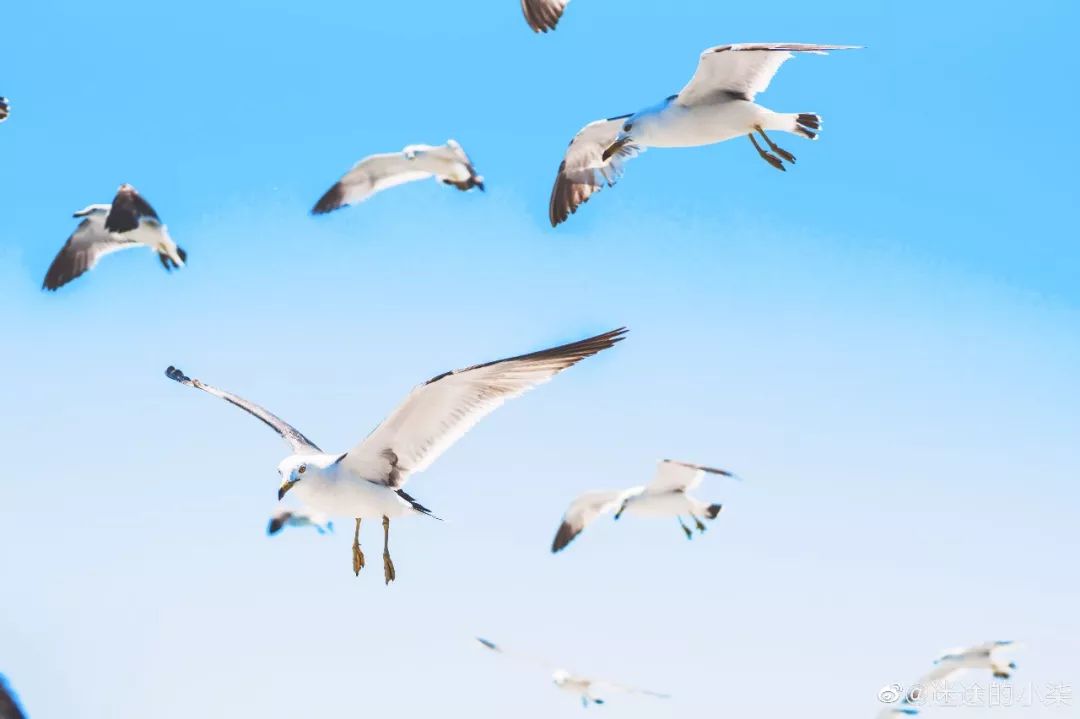 三亚和青岛旅游哪里好,三亚和青岛哪个好玩