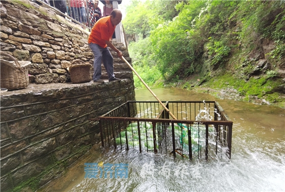 济南“响呼噜泉”开泉了，“鼾声”如雷