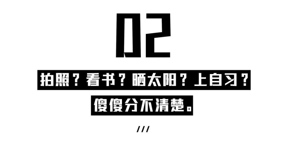美哭了！沈阳公园里的高颜值城市书房，周末限流入馆！暴风哭泣