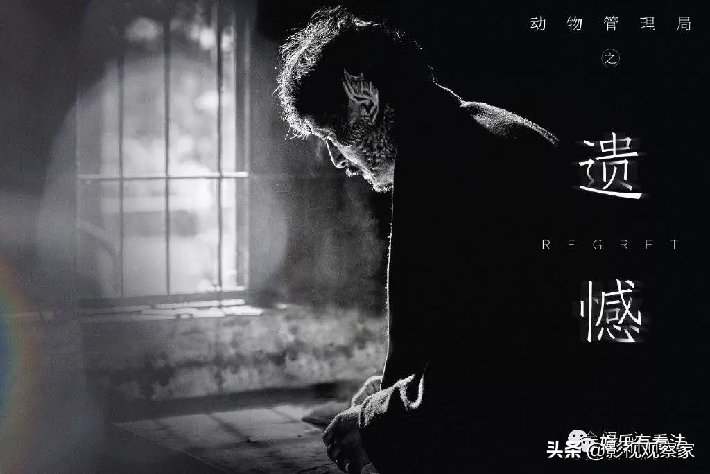 动物管理局第二季免费观看完整版,动物管理局完整版1-24集免费