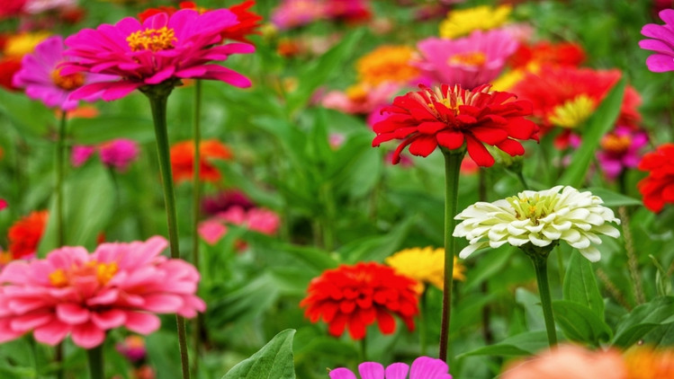 南浔不仅仅只有古镇,跟着我去玩不一样的南浔