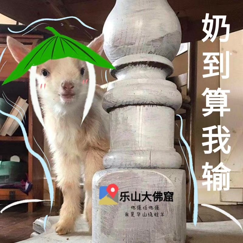 为什么要违背祖训？剑三奶花交星楼奶队友，却被嫌弃怎么被抓死了